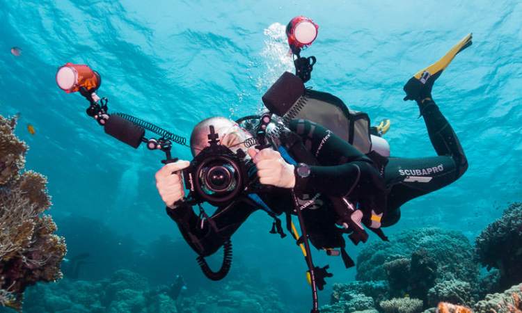 The Ultimate Guide to Choosing the Best Camera Filters for Underwater Videography Image
